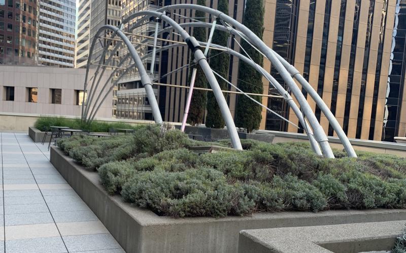 150 California Street TRUE